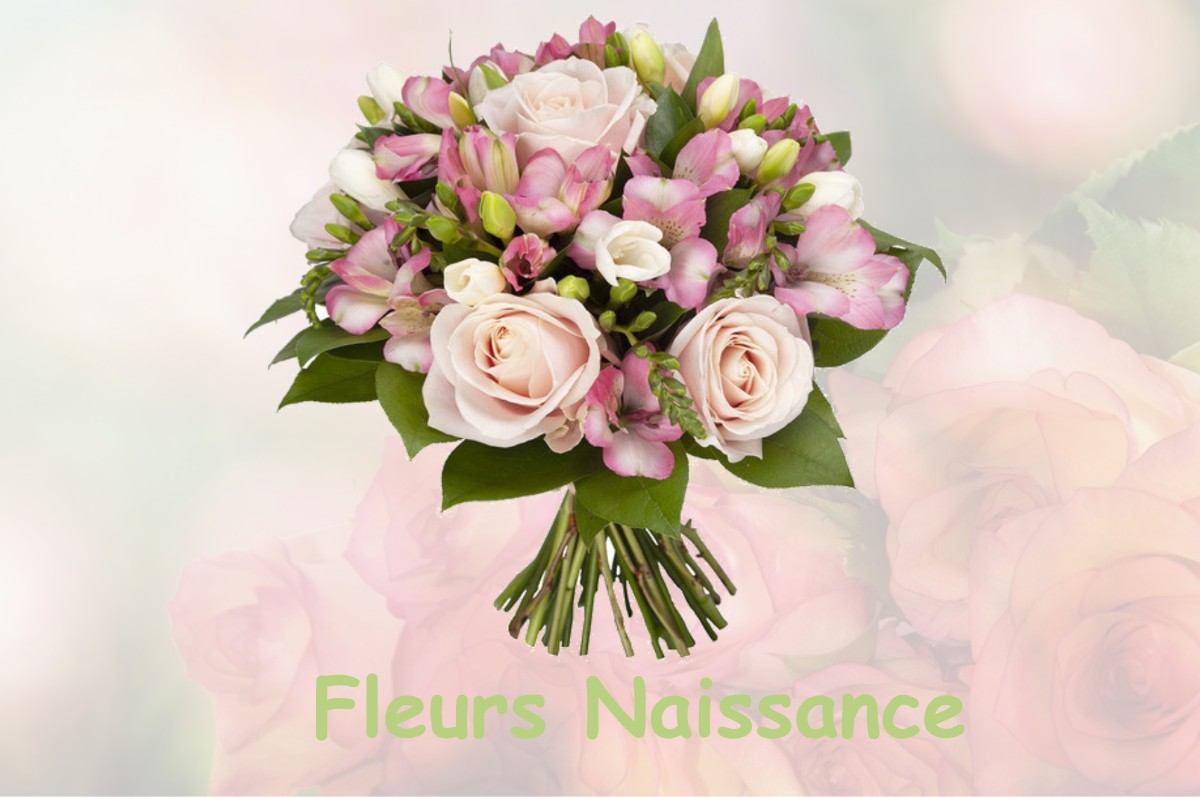 fleurs naissance PIHEM