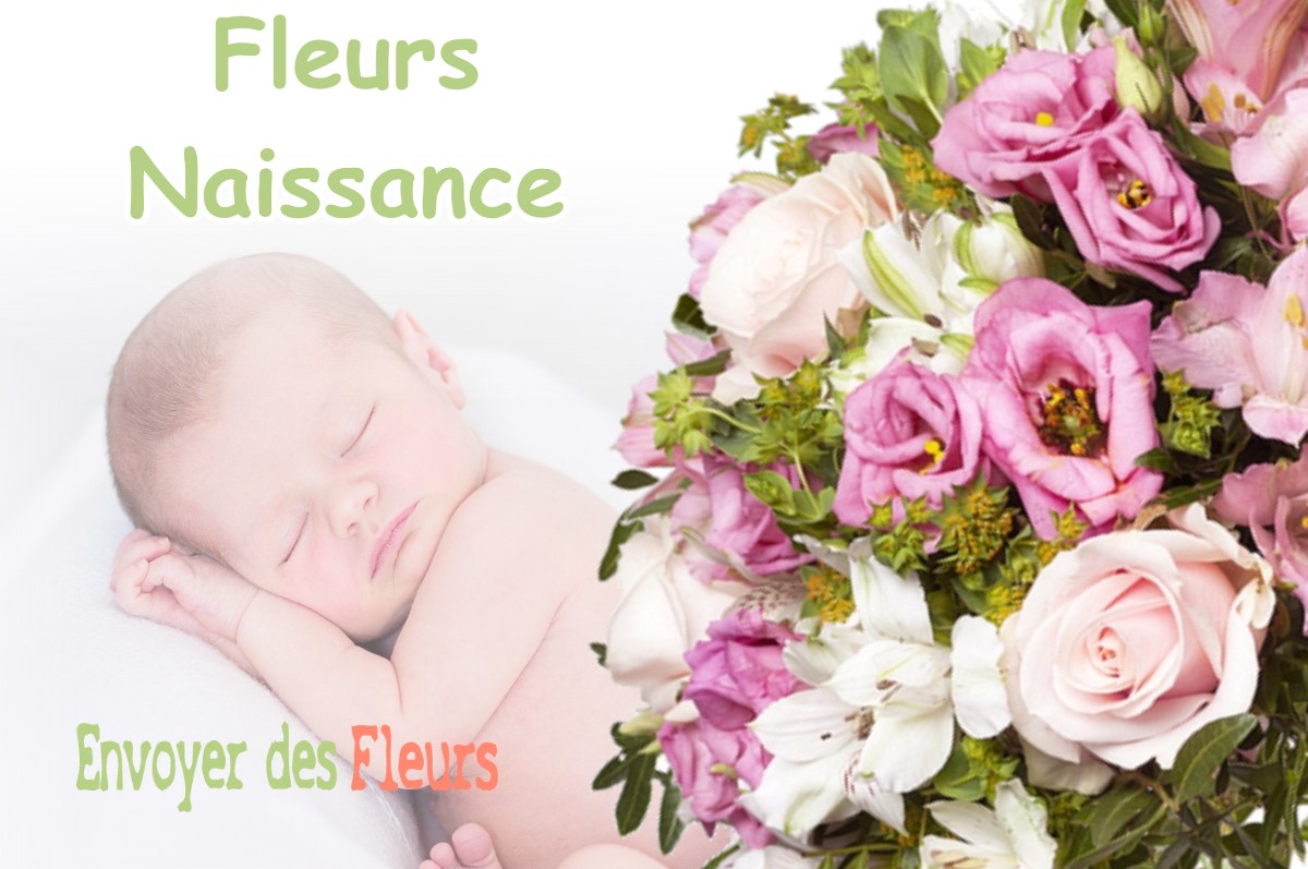 lIVRAISON FLEURS NAISSANCE à PIHEM